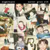 Sugarspun - Never Grow Old - Single